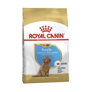 Royal Canin ลูกสุนัข สูตร Pug ปั๊ก
