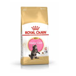 Royal Canin ลูกแมว สูตร Kitten Mainecoon
