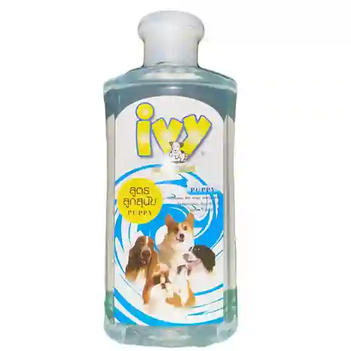 ไอวี่,แชมพูสุนัข,แชมพูสุนัข,แชมพูหมา,อาบน้ำ,ทำความสะอาด,shampoo,เห็บ,หมัด,ฟอก,ฟอง,ดับกลิ่น