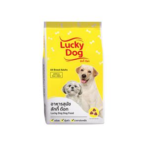 Lucky สุนัขโต