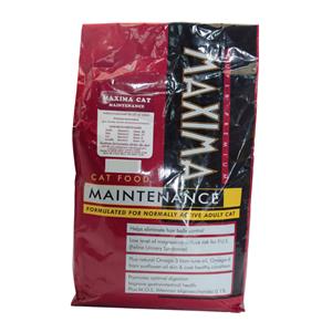 Maxima แมวโต