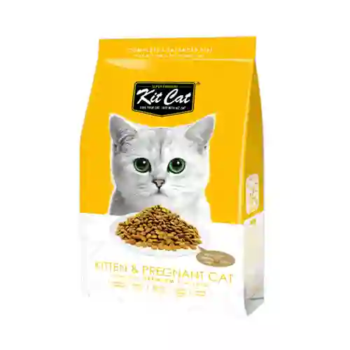 คิทแคท,คิตแคท,อาหารเม็ด,เม็ดแมว,อาหารแมว,อาหารเม็ดแมว,ลูกแมว,kitten,หย่านม,แม่และลูก