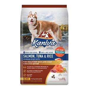 Kaniva สุนัขโต รสแซลมอนทูน่าข้าว