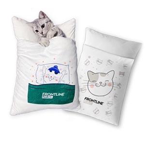 แถมหมอนซุกมือ Broadline