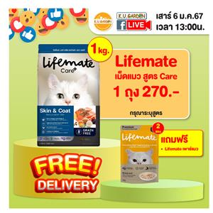 แถมกล่องข้าว nekko