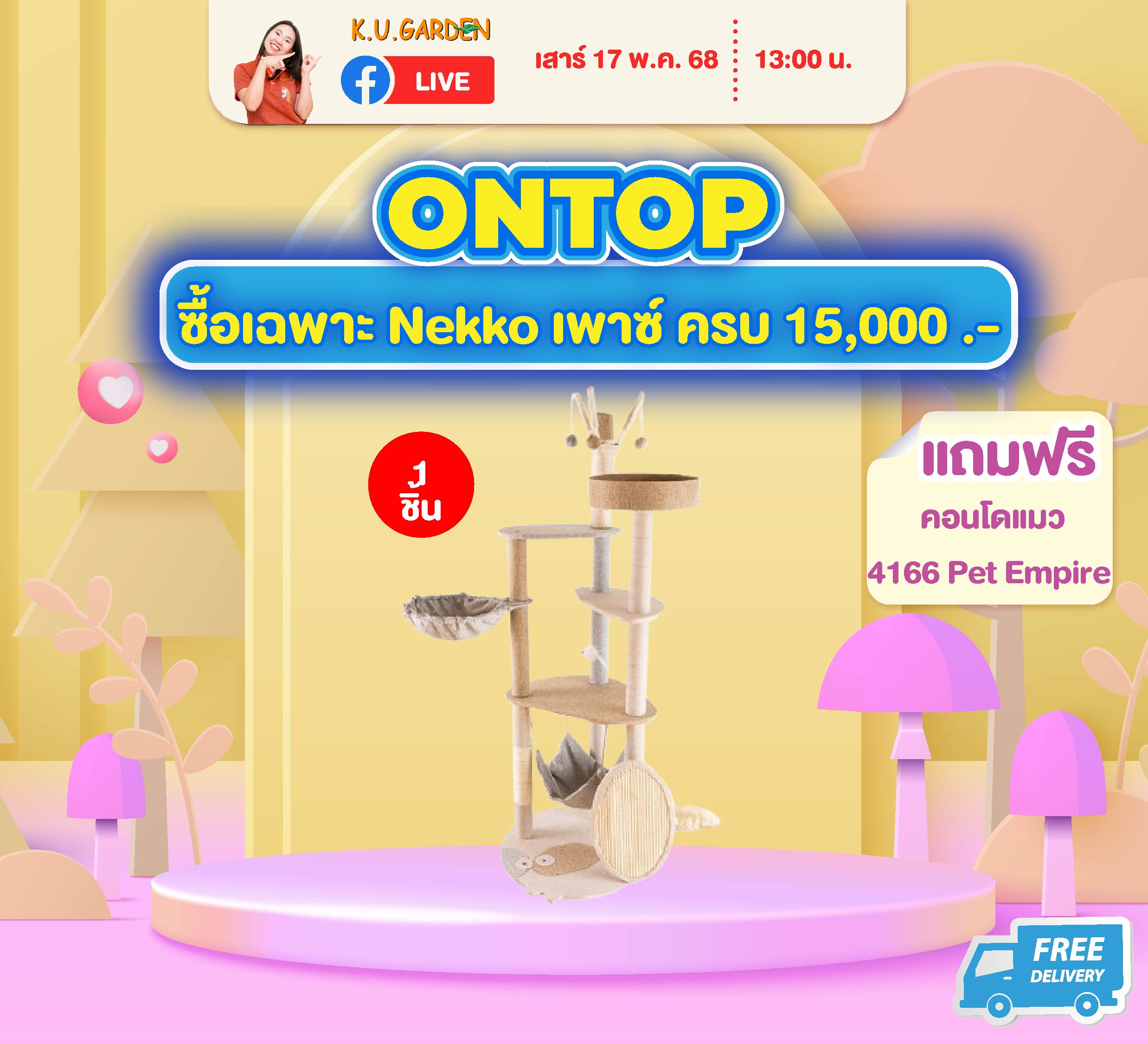 แถมคอนโดแมว