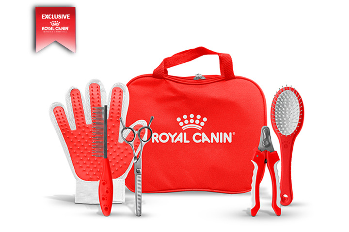 แถมอาหาร50g. 2ซอง+ชุดGrooming (ใหญ่)